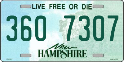 NH license plate 3607307