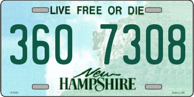 NH license plate 3607308