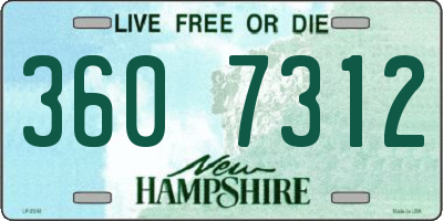 NH license plate 3607312
