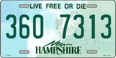 NH license plate 3607313