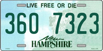 NH license plate 3607323