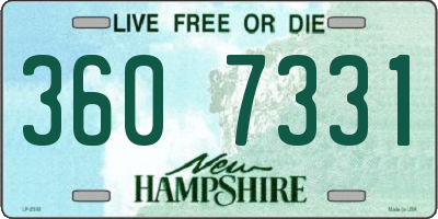 NH license plate 3607331