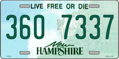 NH license plate 3607337