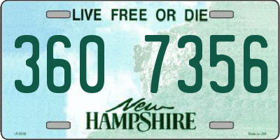 NH license plate 3607356