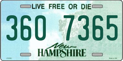 NH license plate 3607365