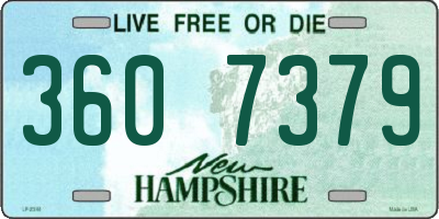 NH license plate 3607379