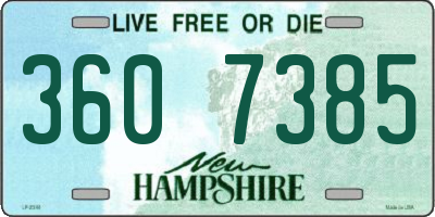 NH license plate 3607385