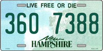 NH license plate 3607388