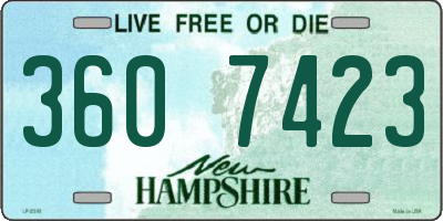 NH license plate 3607423