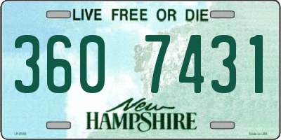 NH license plate 3607431