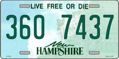 NH license plate 3607437