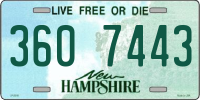 NH license plate 3607443