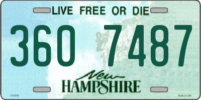 NH license plate 3607487