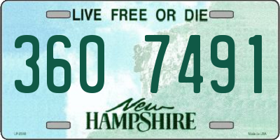 NH license plate 3607491