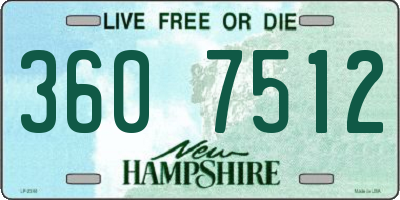 NH license plate 3607512