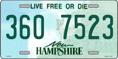 NH license plate 3607523