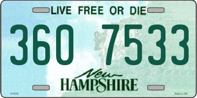 NH license plate 3607533