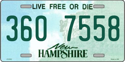NH license plate 3607558