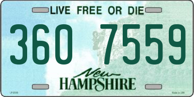 NH license plate 3607559