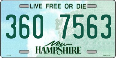 NH license plate 3607563