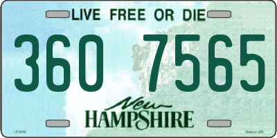 NH license plate 3607565
