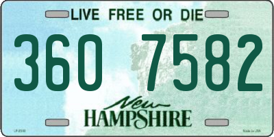 NH license plate 3607582