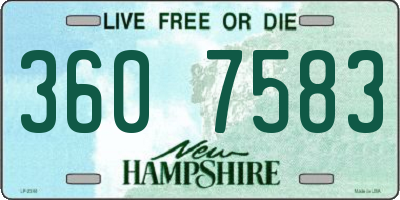 NH license plate 3607583