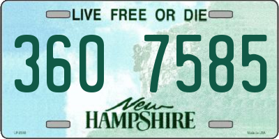 NH license plate 3607585