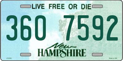 NH license plate 3607592