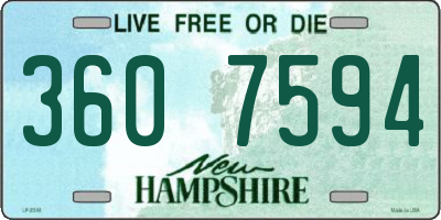 NH license plate 3607594