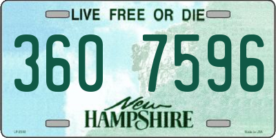 NH license plate 3607596