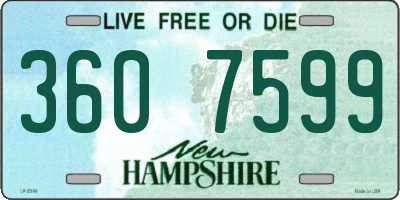 NH license plate 3607599