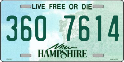 NH license plate 3607614