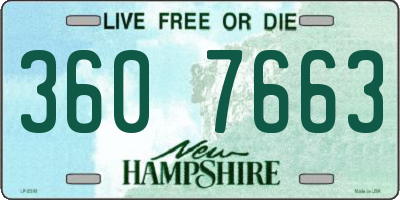 NH license plate 3607663