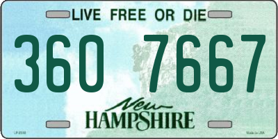 NH license plate 3607667