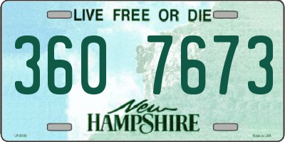 NH license plate 3607673