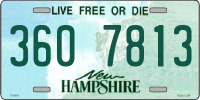NH license plate 3607813