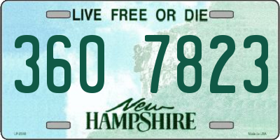 NH license plate 3607823