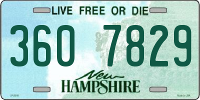 NH license plate 3607829