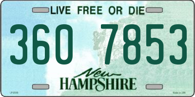 NH license plate 3607853