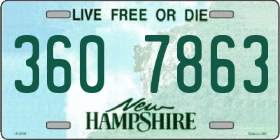 NH license plate 3607863