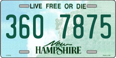 NH license plate 3607875