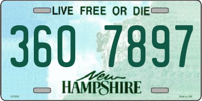 NH license plate 3607897