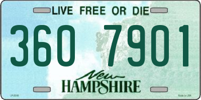 NH license plate 3607901