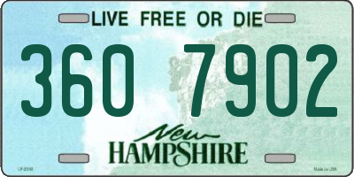 NH license plate 3607902