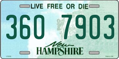 NH license plate 3607903
