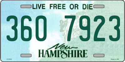 NH license plate 3607923