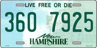 NH license plate 3607925