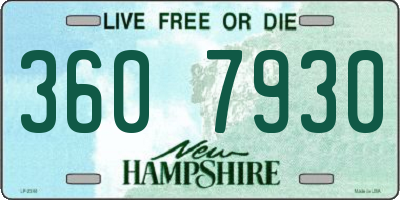 NH license plate 3607930