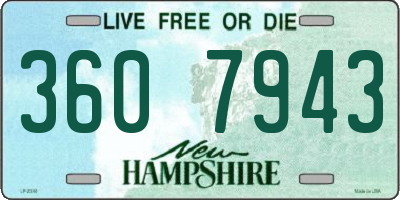 NH license plate 3607943